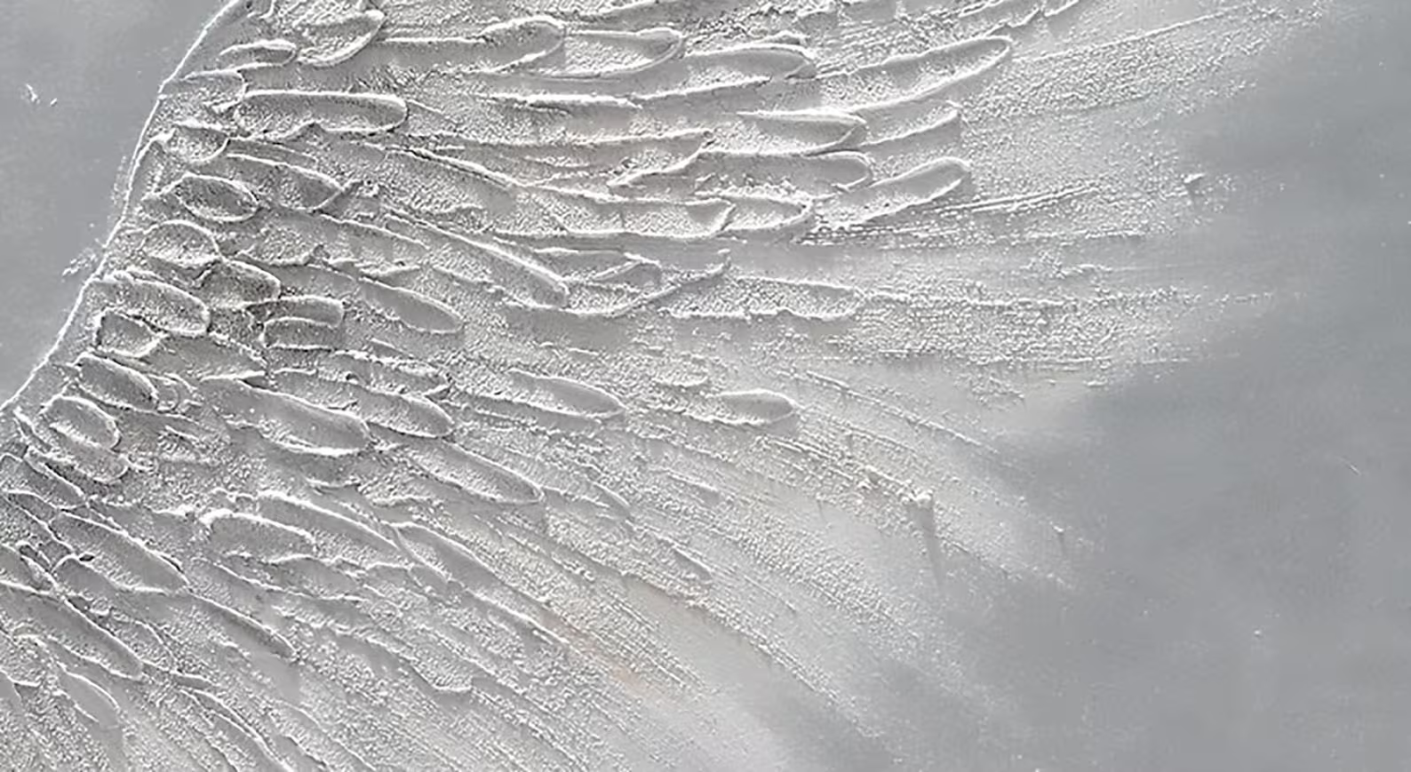 White Angel Wings Oil Painting | Large Grey & White Wall Art #ZZ 008