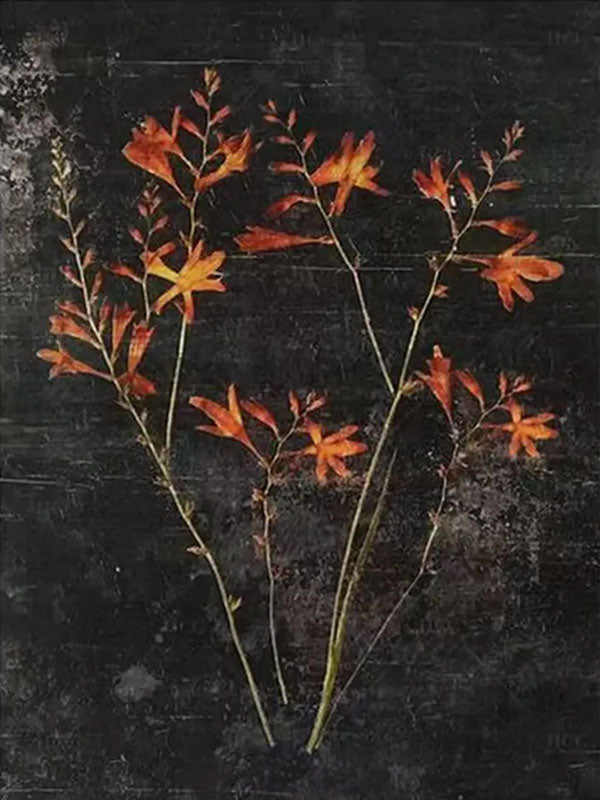 Dark Floral Wall Art | Large Vertical Flowers Black Canvas #ZZ 184