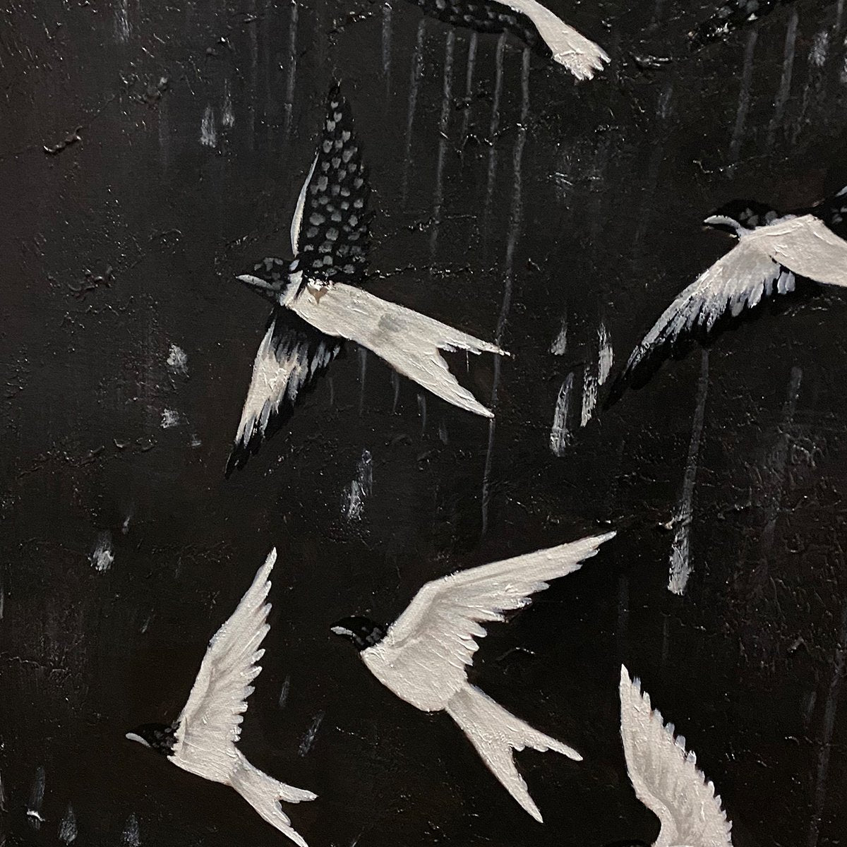 Modern Flying Birds Wall Art | Black & White Canvas #ZZ 235