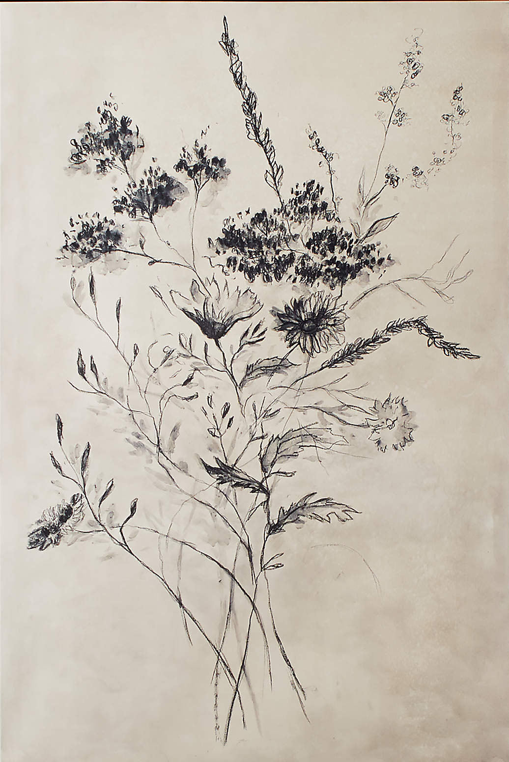 Hand Painted Floral Art - Botanical Drawing Canvas #TC 124