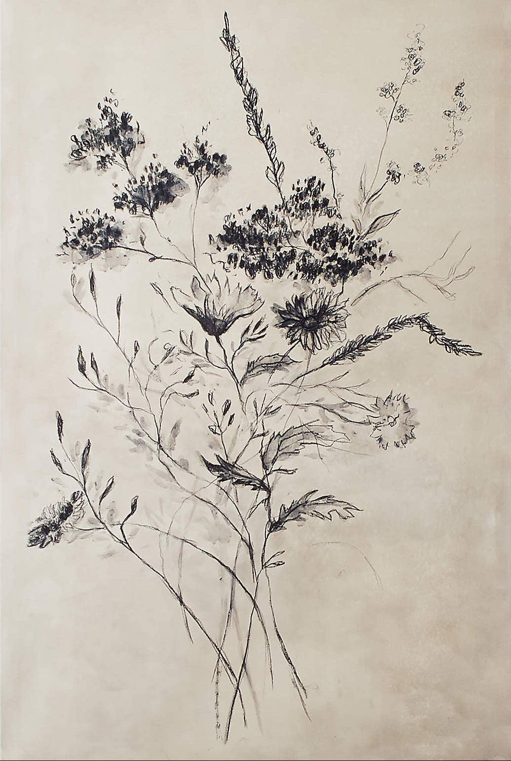 Hand Painted Floral Art - Botanical Drawing Canvas #TC 124