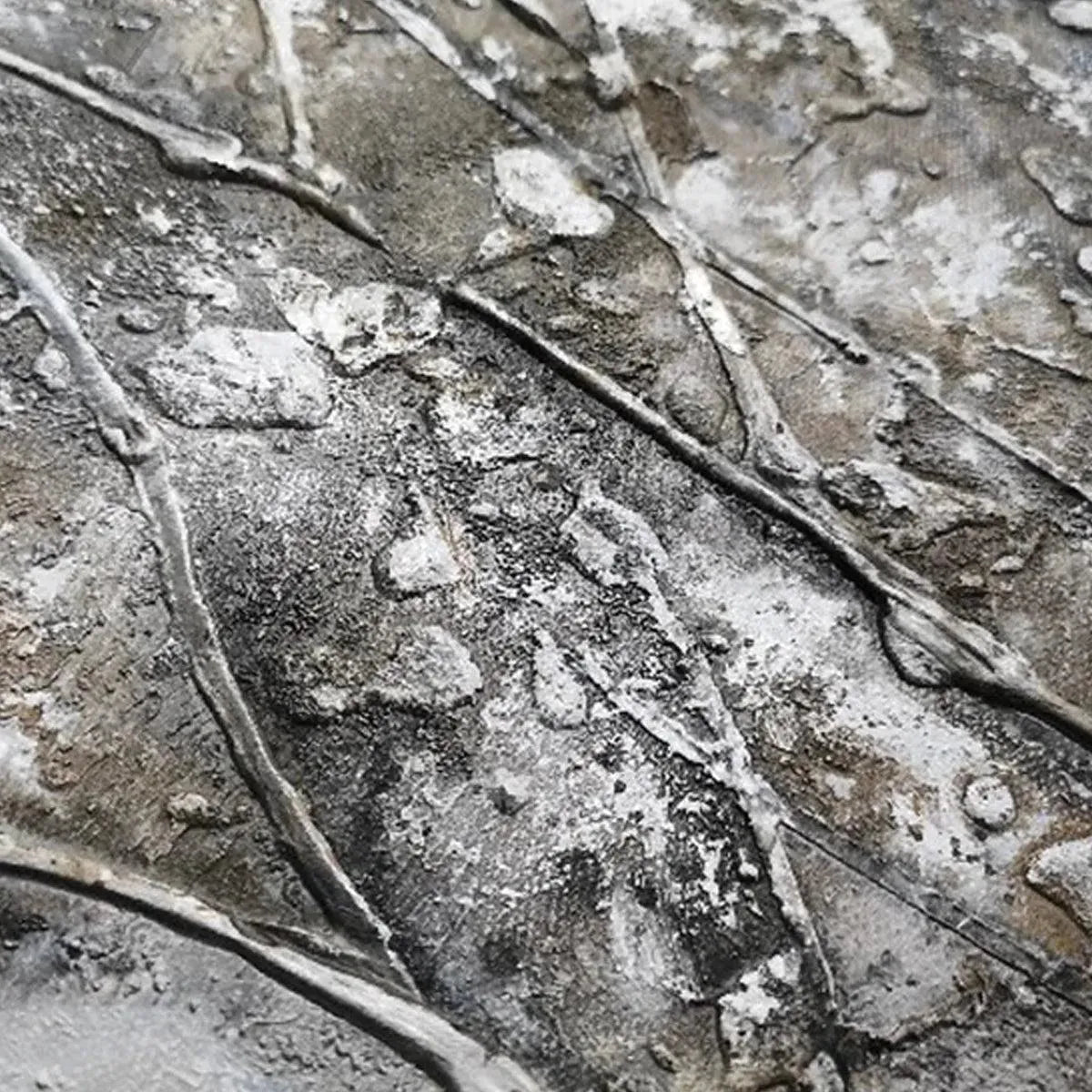 Silver and Grey Tree Canvas Wall Art | Neutral Panoramic Print #AA 394