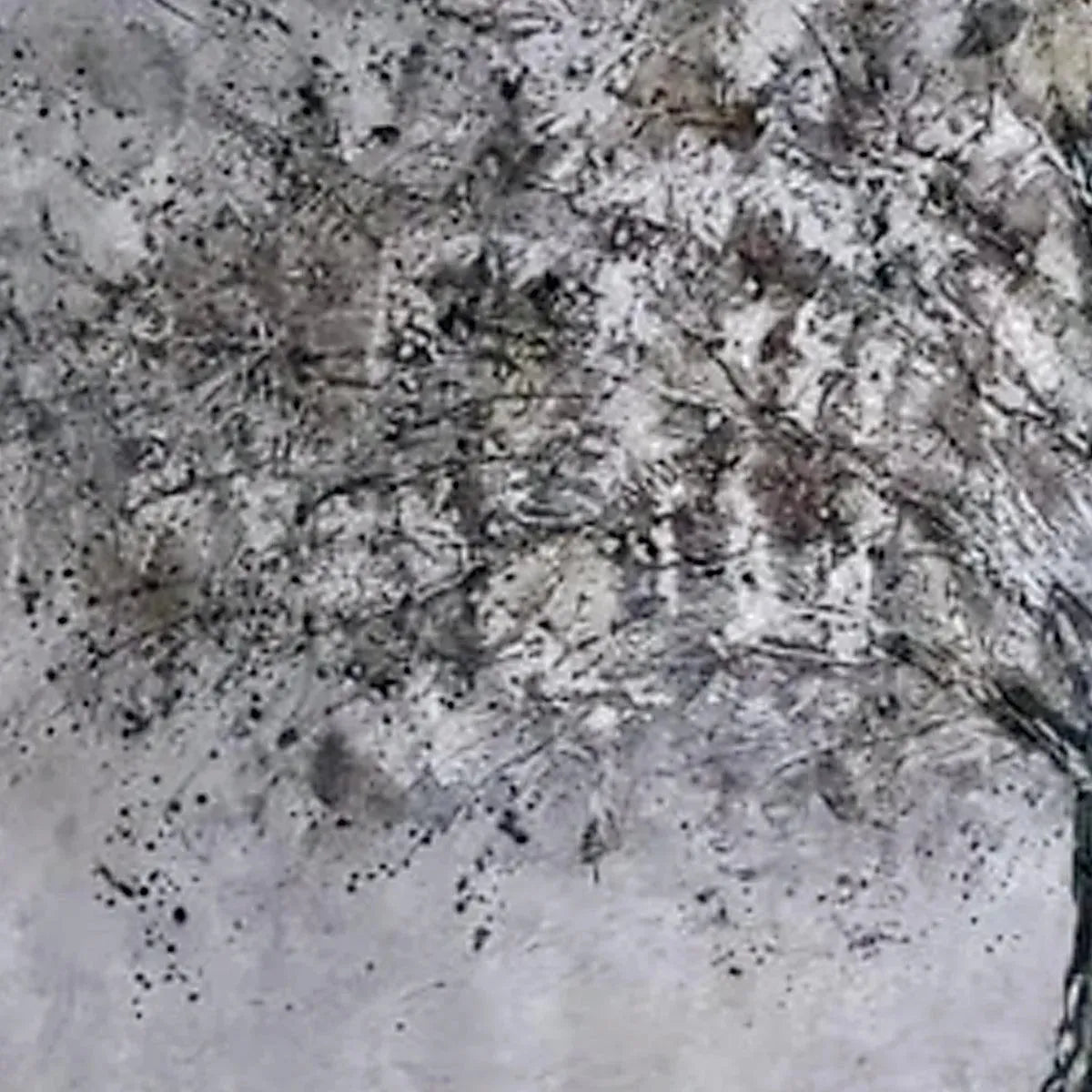 Silver and Grey Tree Canvas Wall Art | Neutral Panoramic Print #AA 394