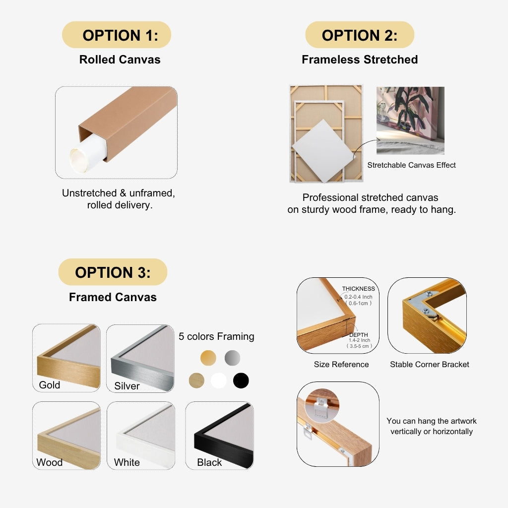 frame-info-savy.jpg